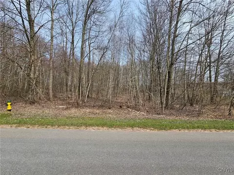 Adrian Circle, Constantia, NY 13044 photo 2