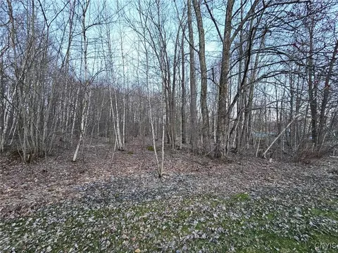Adrian Circle, Constantia, NY 13044 photo 4