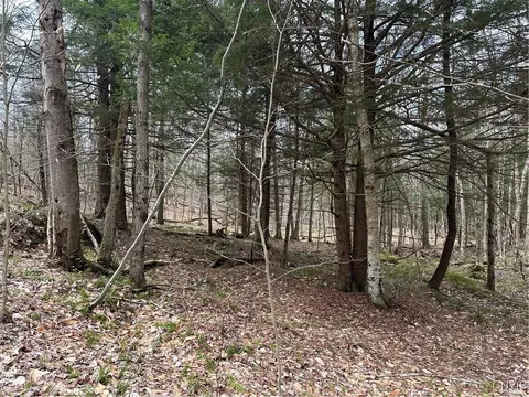 8564 Dicob Rd, New Bremen, NY 13327 photo 17