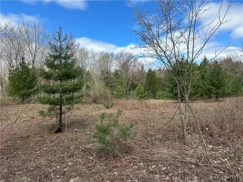 8564 Dicob Rd, New Bremen, NY 13327 photo 7