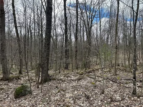 8564 Dicob Rd, New Bremen, NY 13327 photo 18