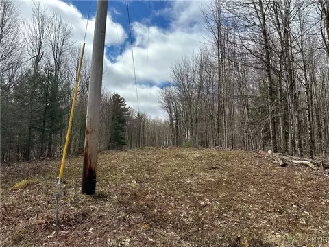 8564 Dicob Rd, New Bremen, NY 13327 photo 6