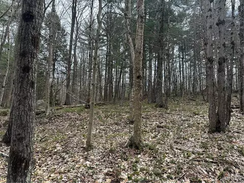 8564 Dicob Rd, New Bremen, NY 13327 photo 16