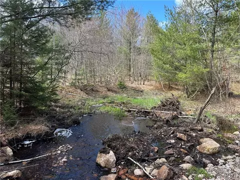 8564 Dicob Rd, New Bremen, NY 13327 photo 2