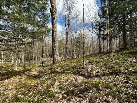 8564 Dicob Rd, New Bremen, NY 13327 photo 11