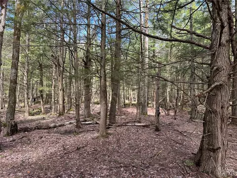 8564 Dicob Rd, New Bremen, NY 13327 photo 10