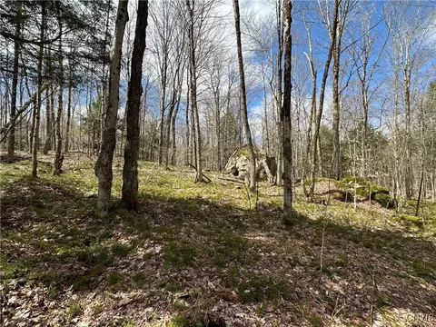8564 Dicob Rd, New Bremen, NY 13327 photo 9