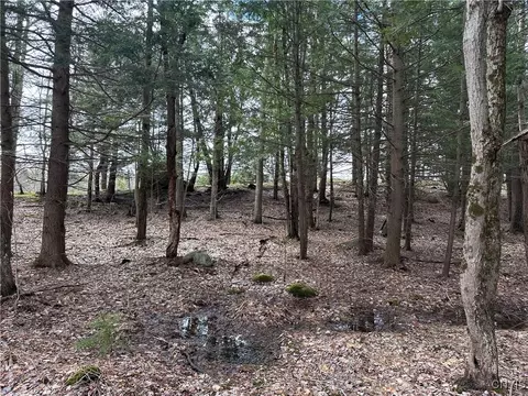 8564 Dicob Rd, New Bremen, NY 13327 photo 20