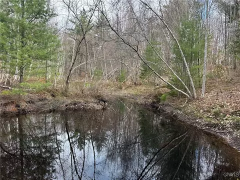 8564 Dicob Rd, New Bremen, NY 13327 photo 19