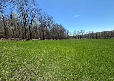 Patterson Road, Otisco, NY 13110 photo 6