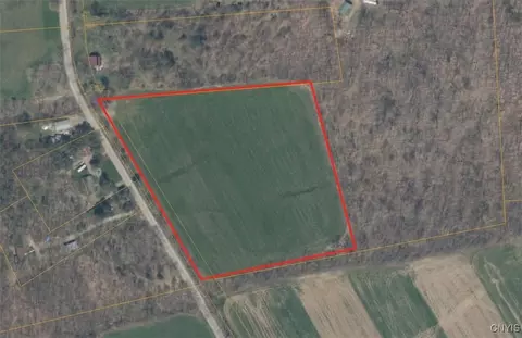 Patterson Road, Otisco, NY 13110