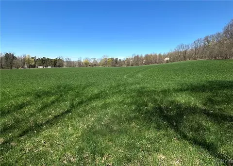 Patterson Road, Otisco, NY 13110 photo 10