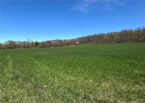 Patterson Road, Otisco, NY 13110 photo 12