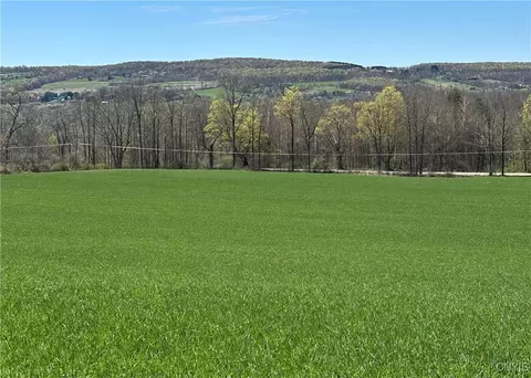 Patterson Road, Otisco, NY 13110 photo 7