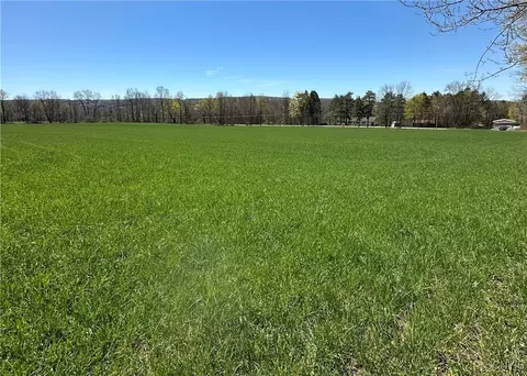Patterson Road, Otisco, NY 13110 photo 5