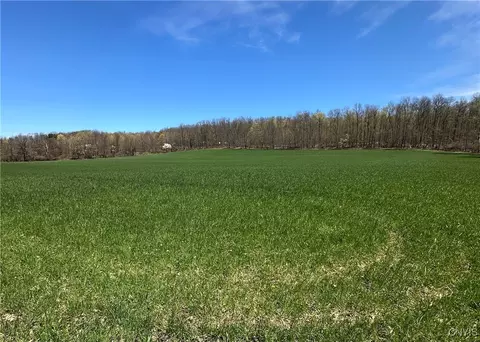 Patterson Road, Otisco, NY 13110 photo 11