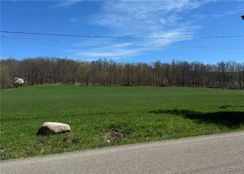 Patterson Road, Otisco, NY 13110 photo 13