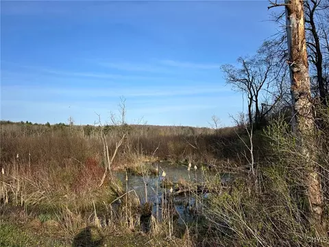 00 Judd Rd, Nelson, NY 13035 photo 4