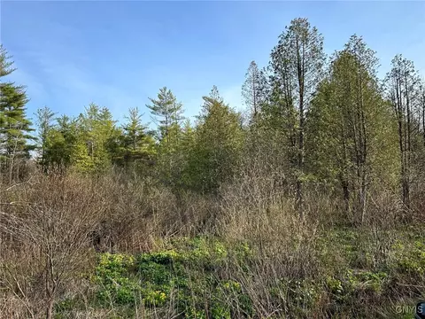 00 Judd Rd, Nelson, NY 13035 photo 7