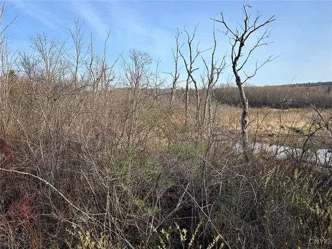 00 Judd Rd, Nelson, NY 13035 photo 8