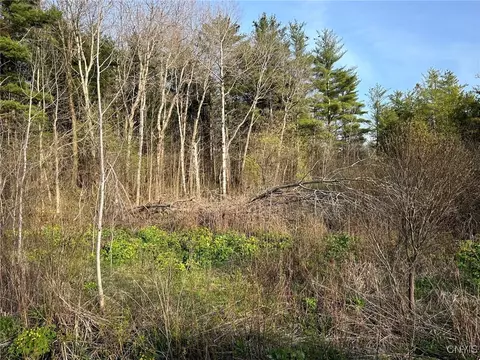 00 Judd Rd, Nelson, NY 13035 photo 6
