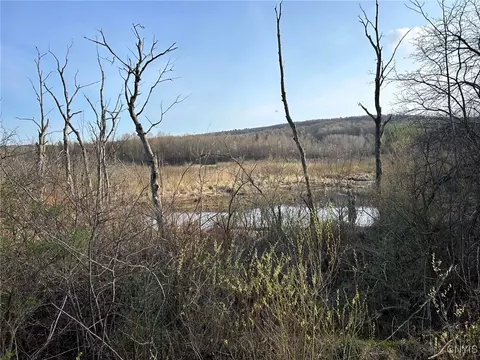 00 Judd Rd, Nelson, NY 13035 photo 9
