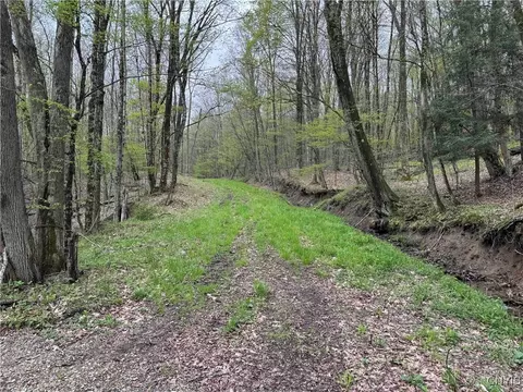 Kansas Hollow Road, Bolivar, NY 14715
