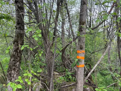 Sulphur Springs Rd Road, Norway, NY 13416