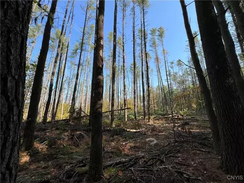 02 Glenn Rd, Watson, NY 13367 photo 3