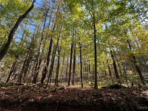 02 Glenn Rd, Watson, NY 13367 photo 9
