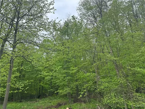 2460 Hitchings Rd, Otisco, NY 13084