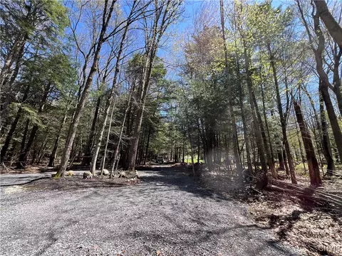 Hemlock Drive, Watson, NY 13343 photo 28