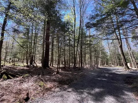 Hemlock Drive, Watson, NY 13343 photo 26