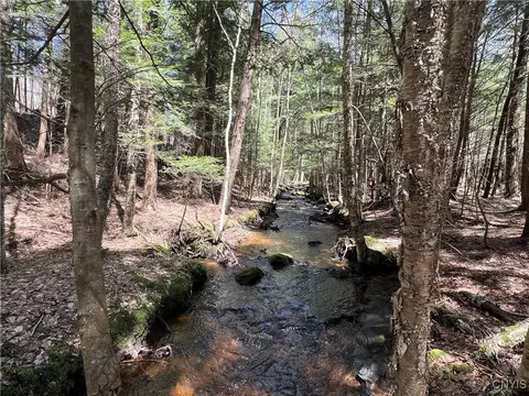 Hemlock Drive, Watson, NY 13343 photo 14