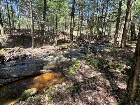 Hemlock Drive, Watson, NY 13343 photo 6