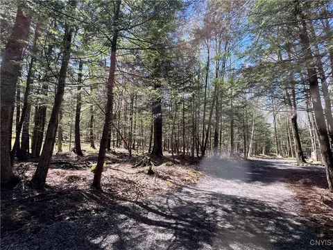 Hemlock Drive, Watson, NY 13343 photo 25