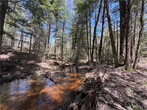 Hemlock Drive, Watson, NY 13343 photo 10