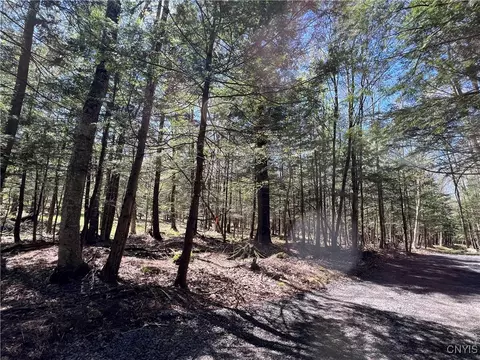 Hemlock Drive, Watson, NY 13343 photo 24