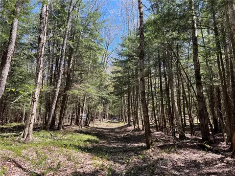 Hemlock Drive, Watson, NY 13343 photo 16