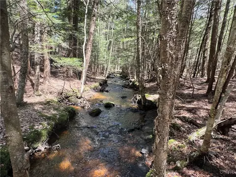 Hemlock Drive, Watson, NY 13343 photo 13