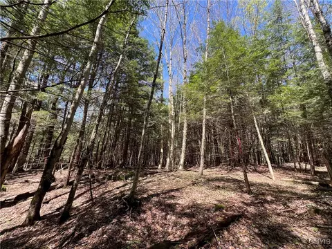 Hemlock Drive, Watson, NY 13343 photo 30