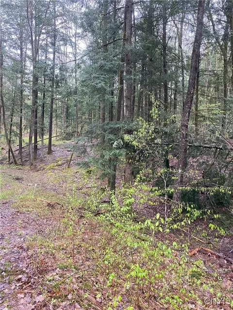 Rome-taberg Road, Annsville, NY 13471