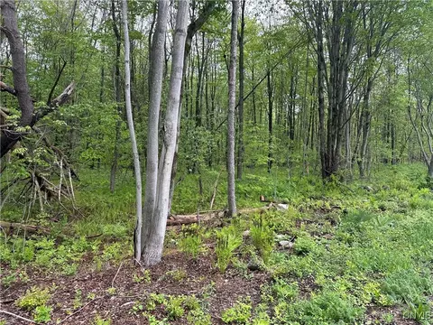 Rogers Crossing Road, Wilna, NY 13619