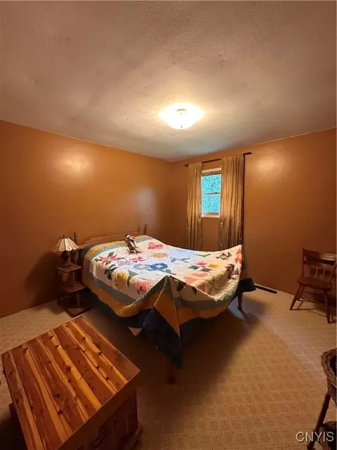 3371 Frederick Rd, Madison, NY 13402 photo 32