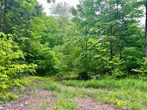 N Hillsborough Road, Amboy, NY 13316