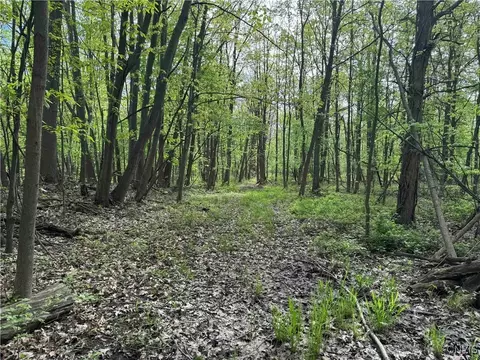 Other - 9727 Hall Rd, Somerset, NY 14012 photo 14 of 15