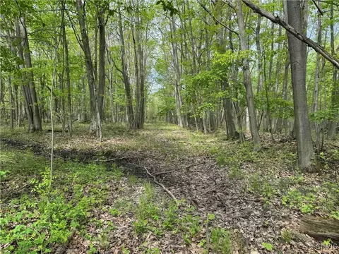 Other - 9727 Hall Rd, Somerset, NY 14012 photo 13 of 15