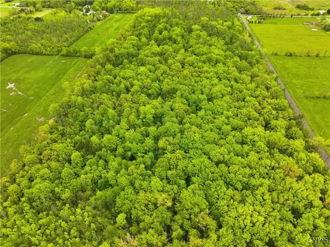 View/Area - 9727 Hall Rd, Somerset, NY 14012 photo 7 of 8