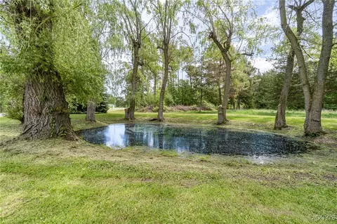 2190 Rt-90, Ledyard, NY 13026 photo 33