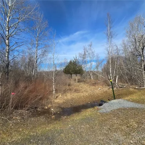 00 Lot Apt 5 County Route 15 Rd, Orleans, NY 13656